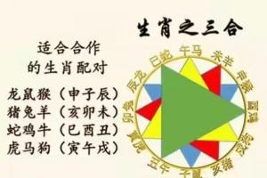 十二生肖三合图表——十二生肖三合对照表